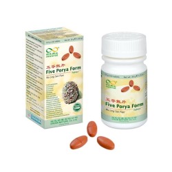 Five porya form - wu ling san pian