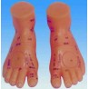 10042 Massage Foot Model