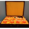 Coppette aspiranti art. 05003