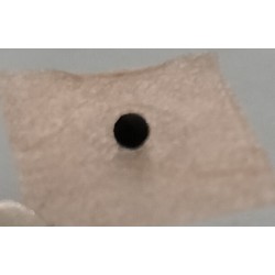 Semi di vaccaria con cerottino anallergici